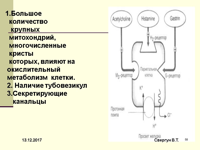 13.12.2017 58 Свергун В.Т. 1.Большое    количество     крупных